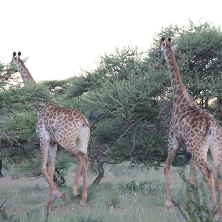 Wag N Bietjie Bush Lodge Heuningneskloof Екстериор снимка