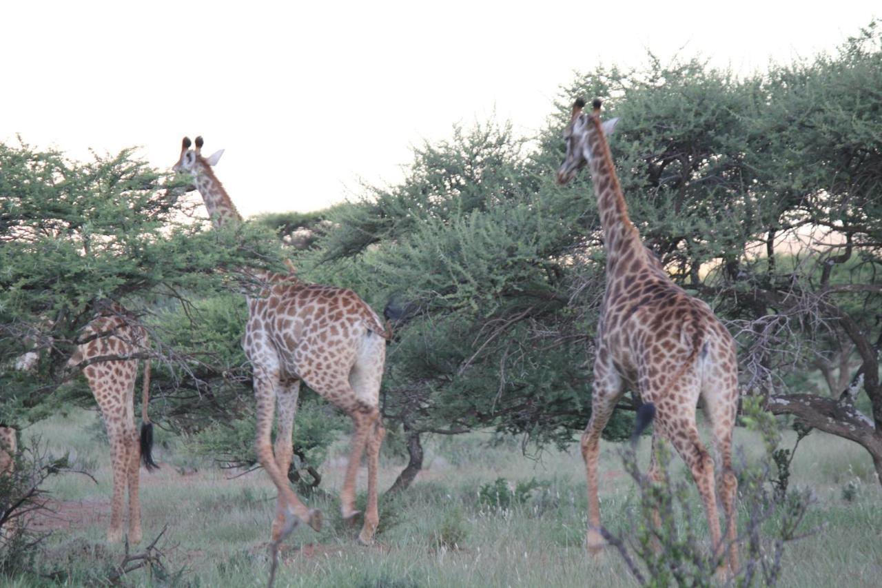Wag N Bietjie Bush Lodge Heuningneskloof Екстериор снимка