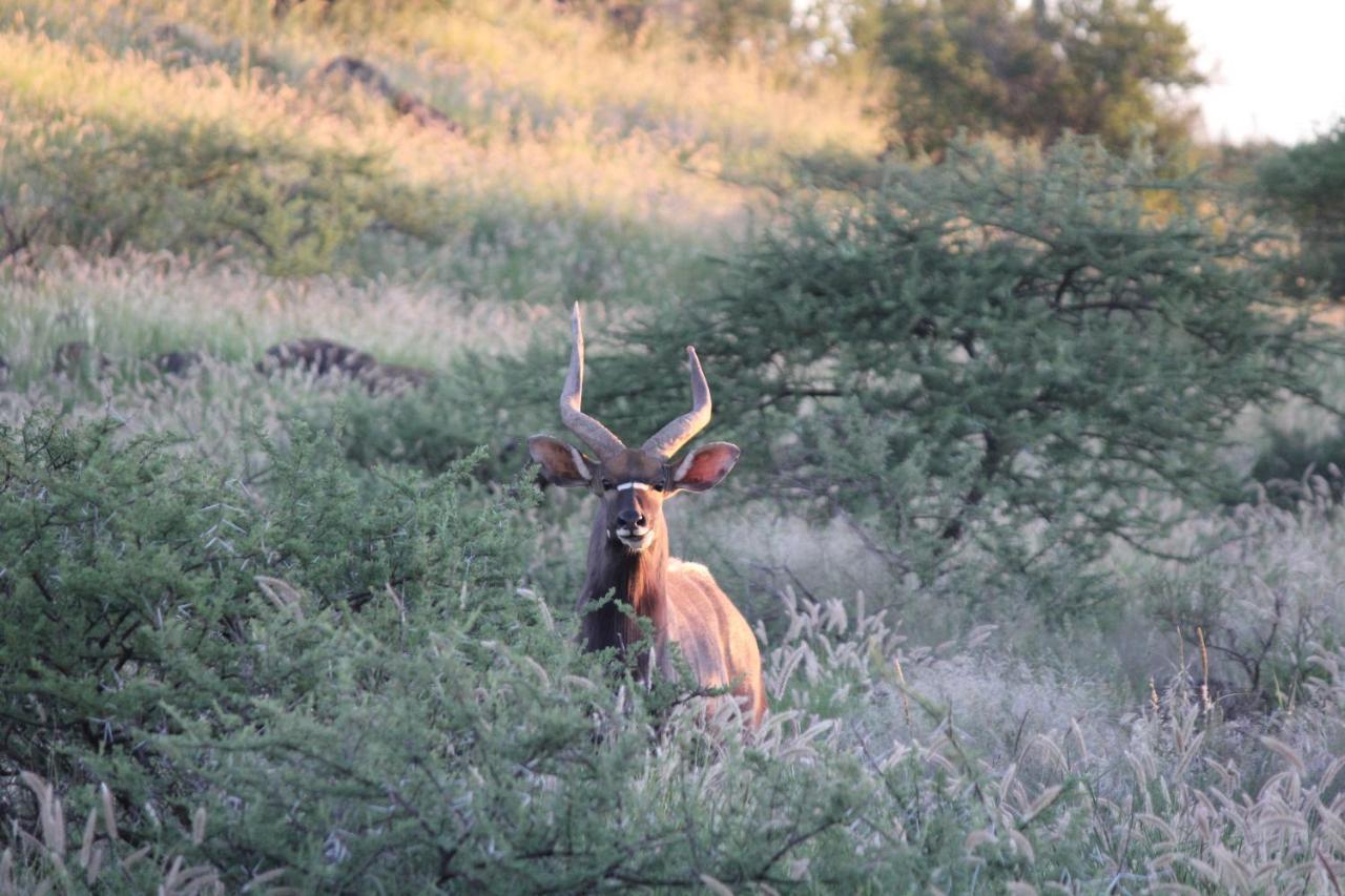 Wag N Bietjie Bush Lodge Heuningneskloof Екстериор снимка